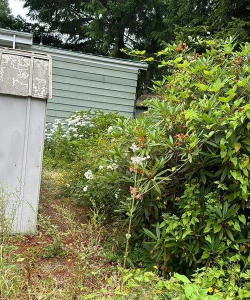 Landscaping Maintenance in Ballard 